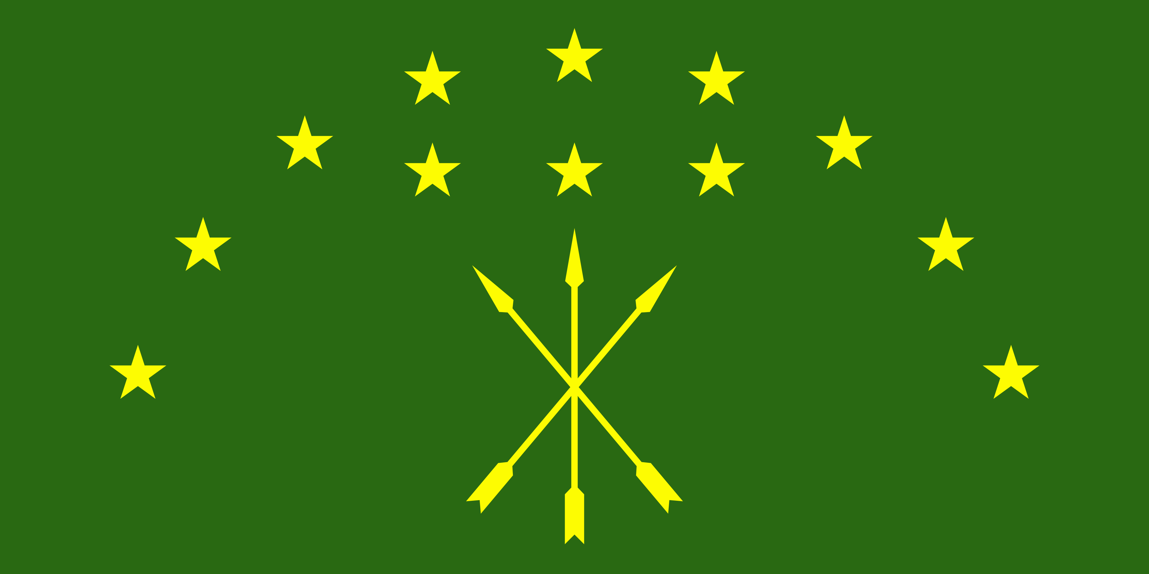 The Circassian flag — twelve stars and three arrows on green.